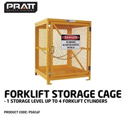 Forklift Storage Cage. 1 Storage Level Up To 4 Forklift Cylinders
